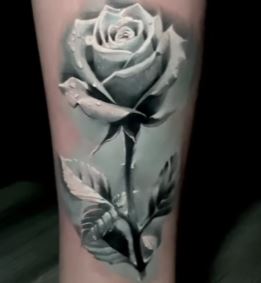 SINGLEZ- Snow White Opaque - 5 Pack