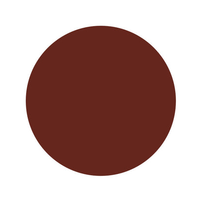 CLOSEOUT SALE! Terra Di Sienna - Alex de Pase Advanced Fleshtone Series